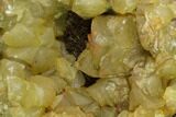 Septarian Dragon Egg Geode - Black & Yellow Crystals #172794-1